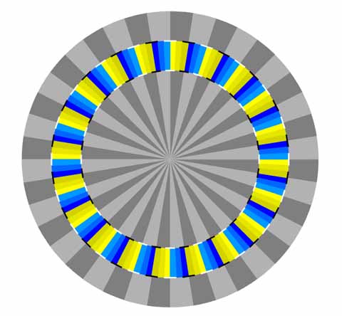 rotary snake